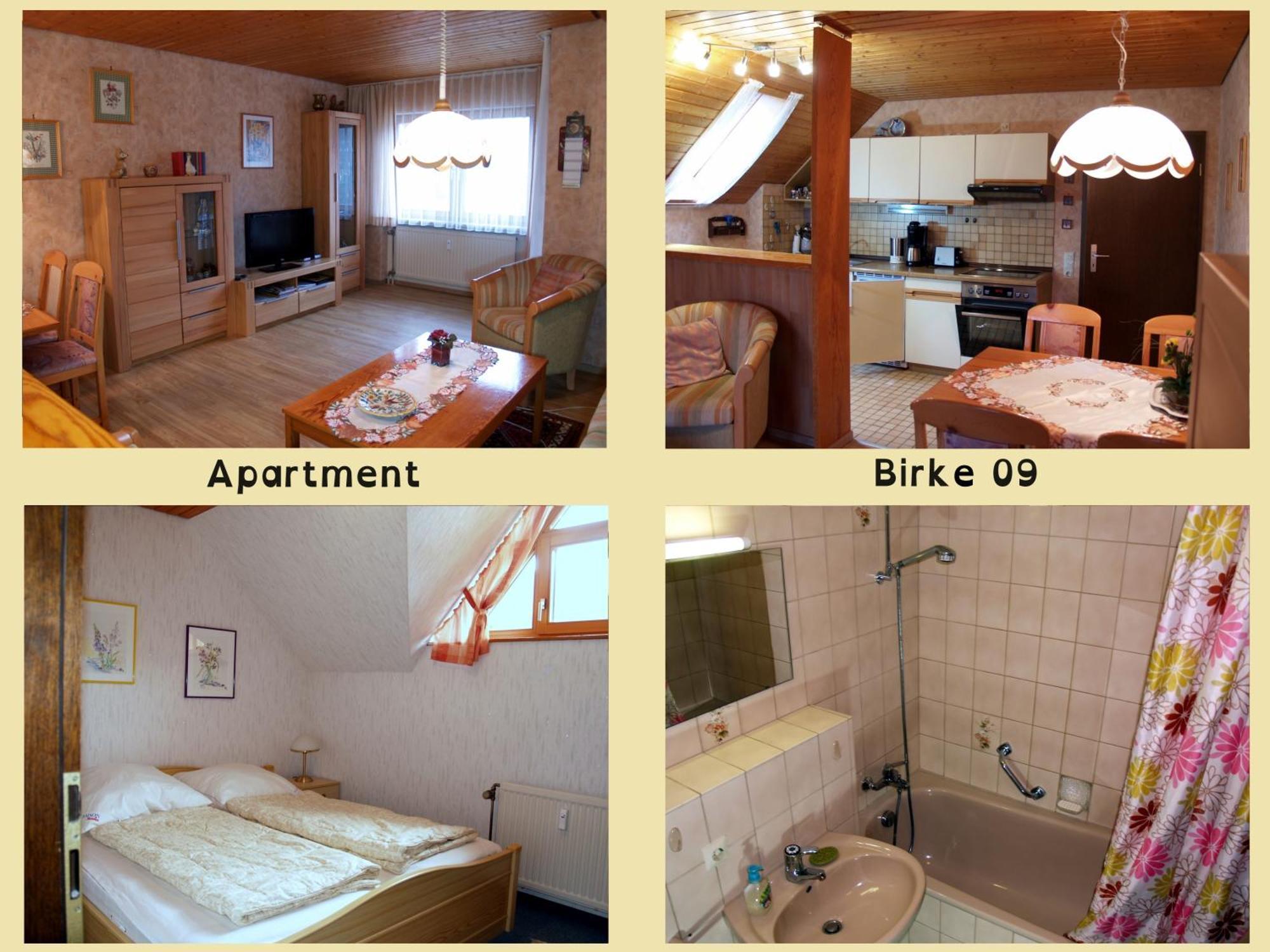 Апартаменты Birke 9, 10 Oder 11 Тодтмос Экстерьер фото